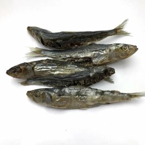 Sardines