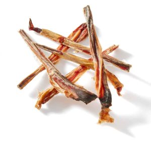Shark Jerky