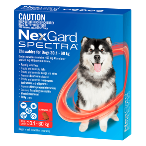 NexGard Spectra Extra Large Dog
