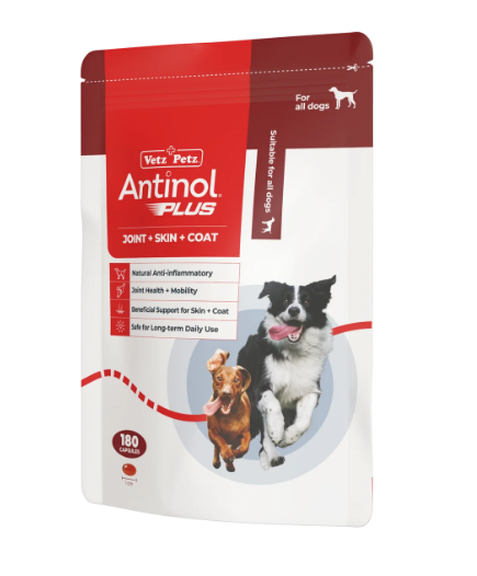 Antinol for Dogs - Image 5