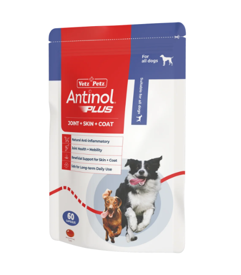 Antinol for Dogs