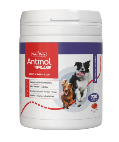 Antinol for Dogs - Image 6