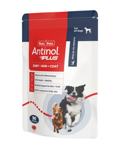 Antinol for Dogs - Image 4