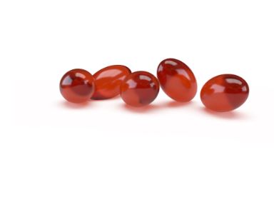Antinol for Dogs - Image 7