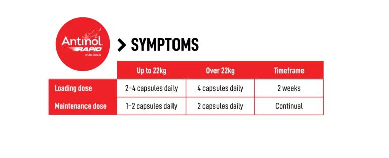 Antinol for Dogs - Image 2
