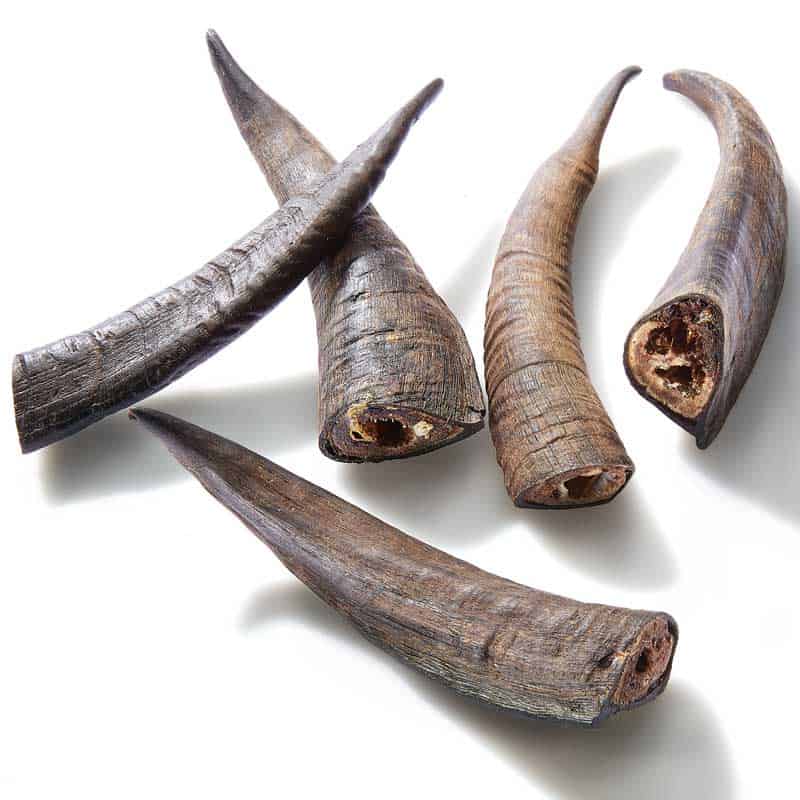 Goat Horns