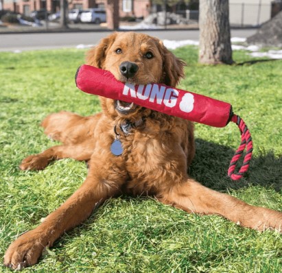 KONG Signature Stick With Rope Dog Toy - Image 2