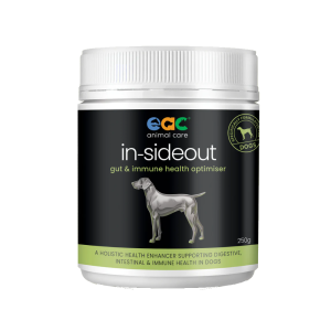 In sideout gut Immune Health Optimizer Dog