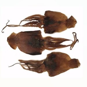 Squid Jerky