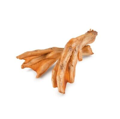 Duck Feet