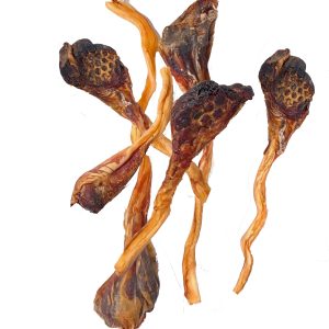 Kangaroo Tendons